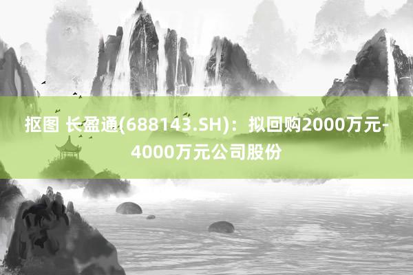 抠图 长盈通(688143.SH)：拟回购2000万元-4000万元公司股份